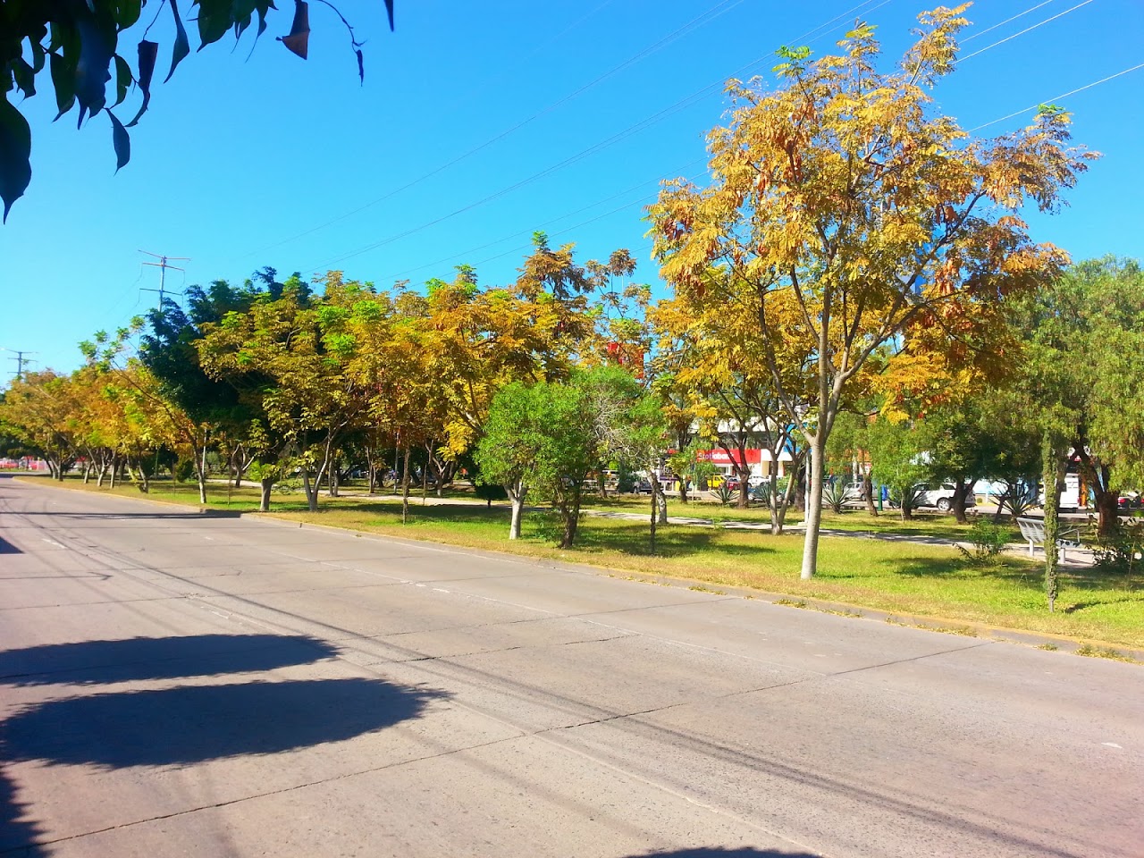 20131126_135813.jpg