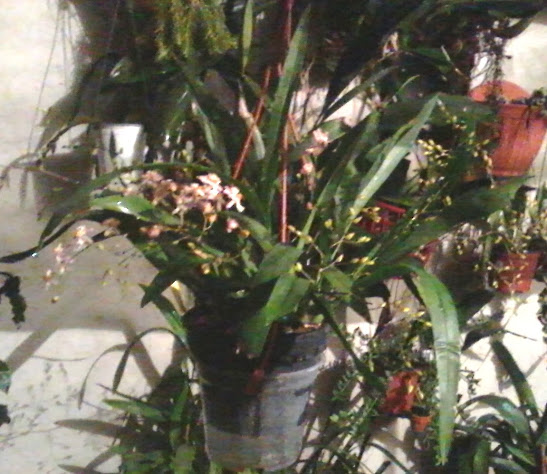 20131127_185525.jpg