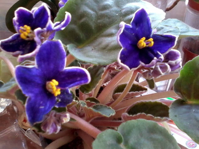 20131128_075510.jpg