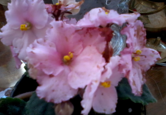 20131128_075517.jpg