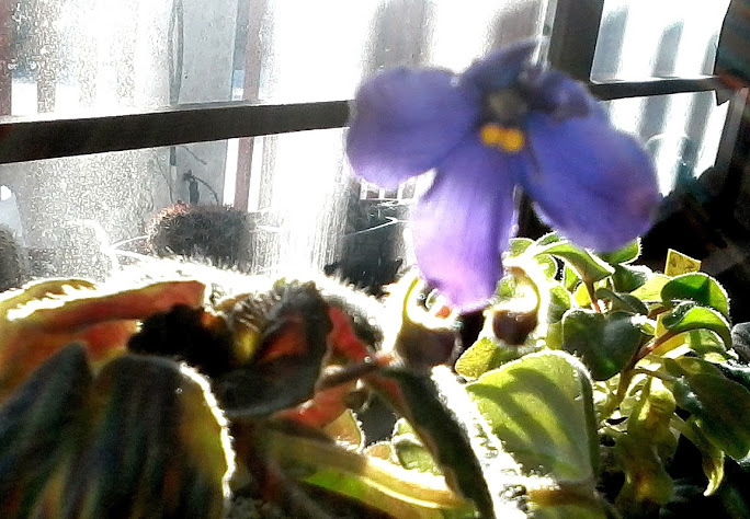 20131128_075559.jpg