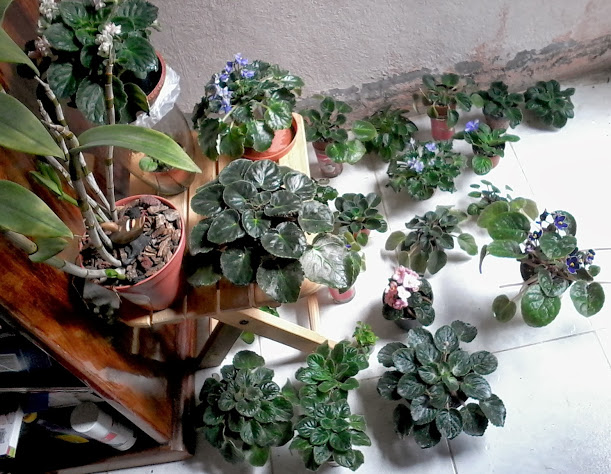 20131128_111127.jpg
