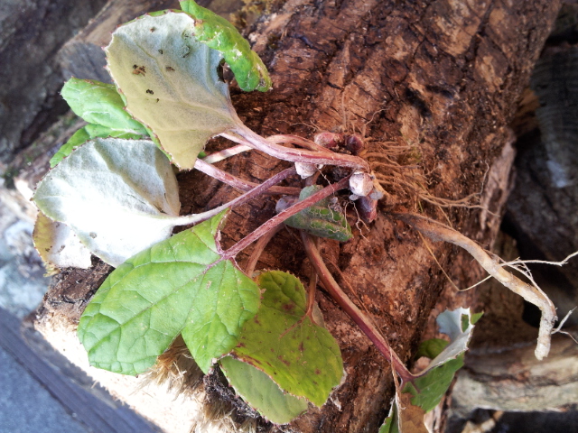 20131203_101417.jpg