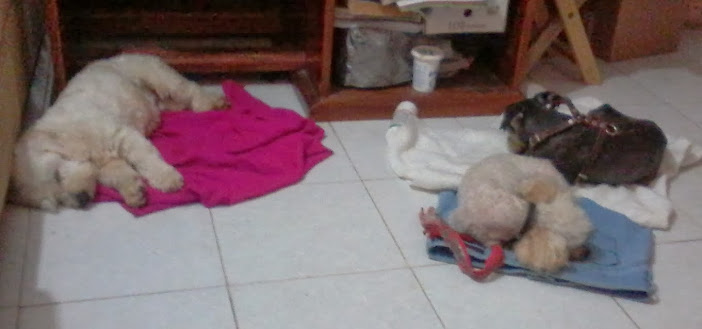 20131207_210918.jpg