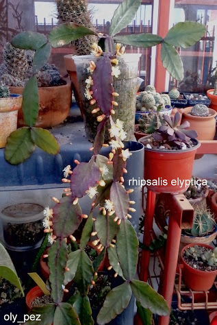 20131208_091034.jpg