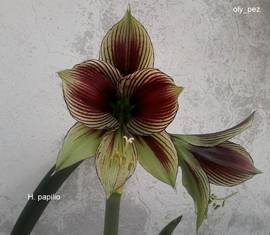 20131208_141228.jpg
