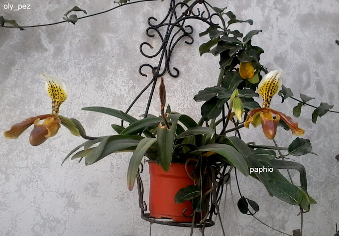 20131208_141434.jpg