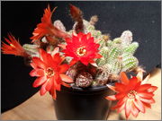 2013_05_22_13_00_06.jpg