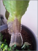 2013_11_22_13_55_03.jpg