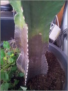 2013_11_22_13_55_10.jpg