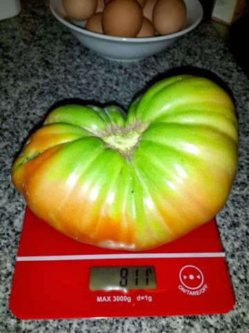 2014-01-23%252015.36.31.jpg