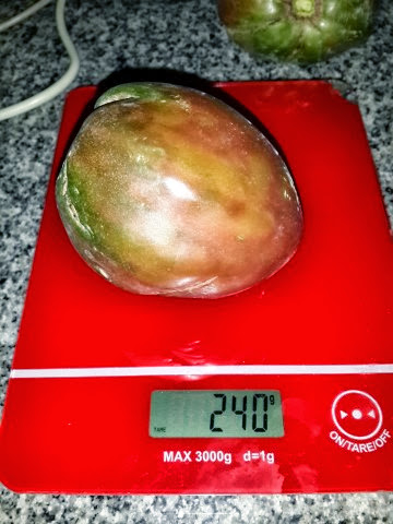 2014-01-25%252014.24.58.jpg