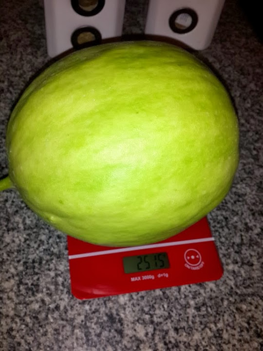 2014-01-27%252016.30.51.jpg