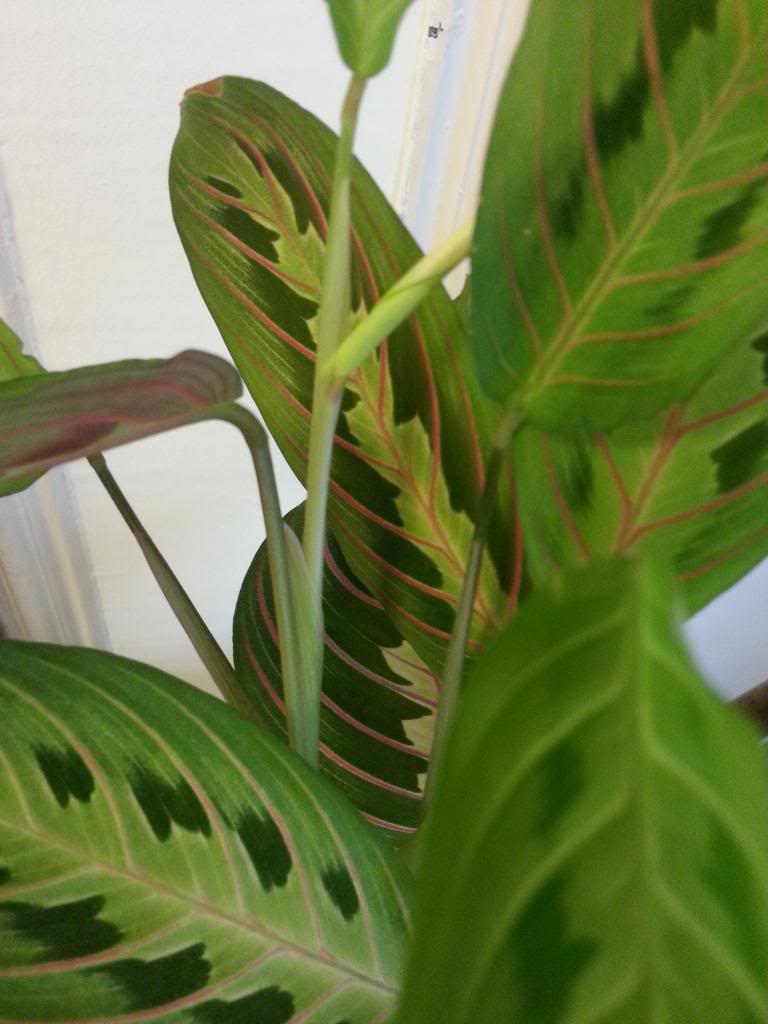2014-01-28101819.jpg
