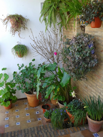 2014-02-16+16.02.57.jpg
