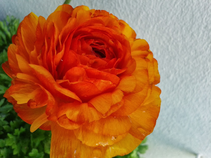2014-02-19+11.08.37.jpg