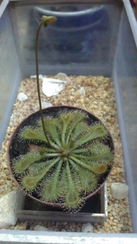 2014-02-21183528.jpg
