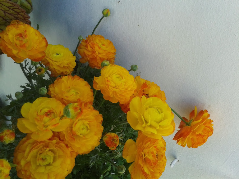 2014-03-08+16.55.59.jpg