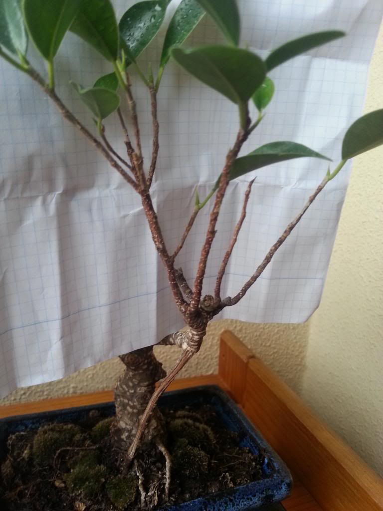 2014-04-01190427.jpg