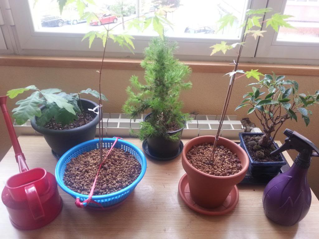 2014-04-07185154.jpg