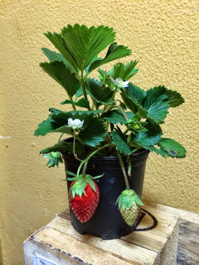 2014-04-25+17.45.31.jpg