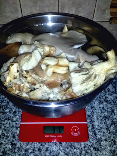 2014-04-30%252016.12.30.jpg