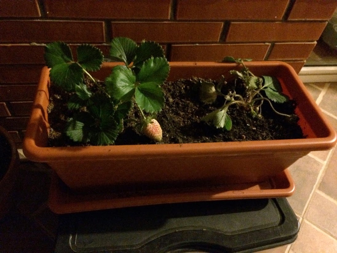 2014-05-04+23.00.50.jpg