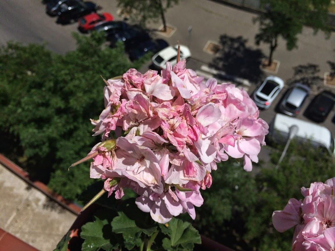 2014-05-05+15.01.11.jpg
