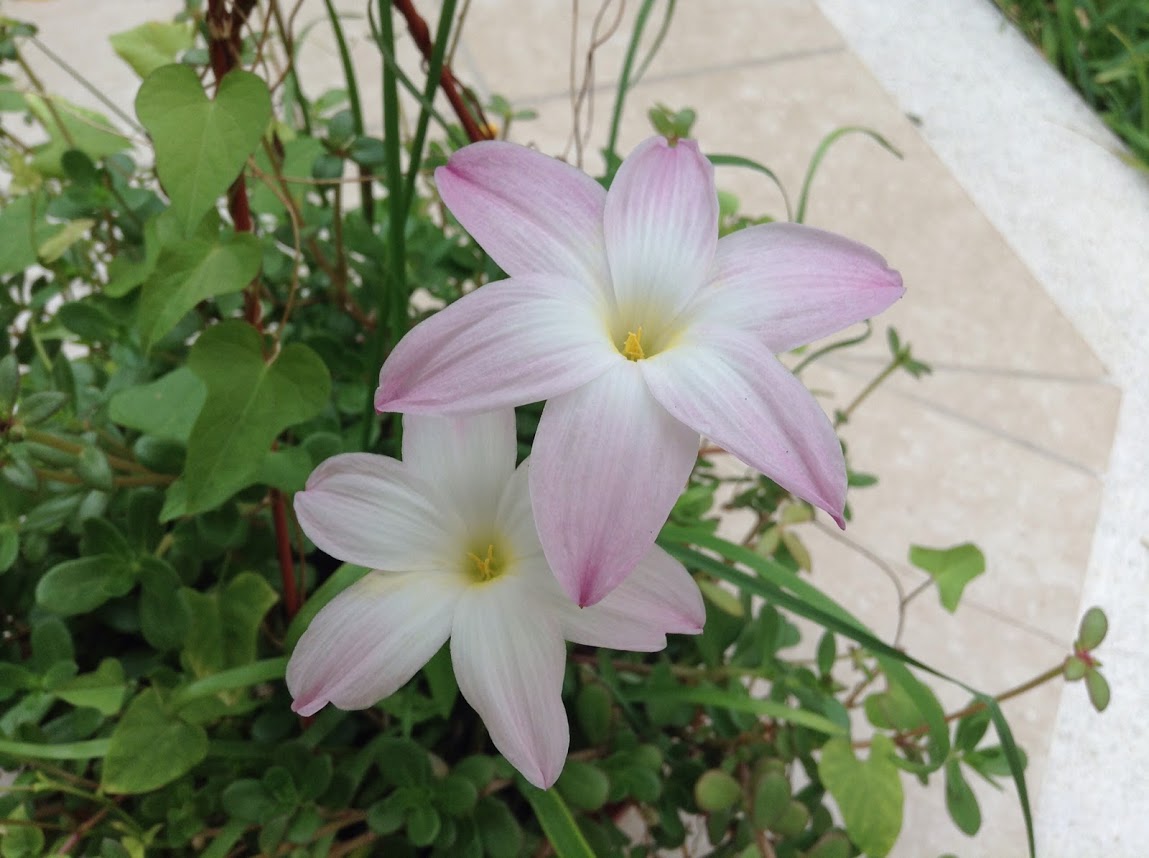 2014-05-05.jpg