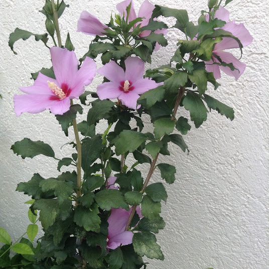 2014-05-05.jpg