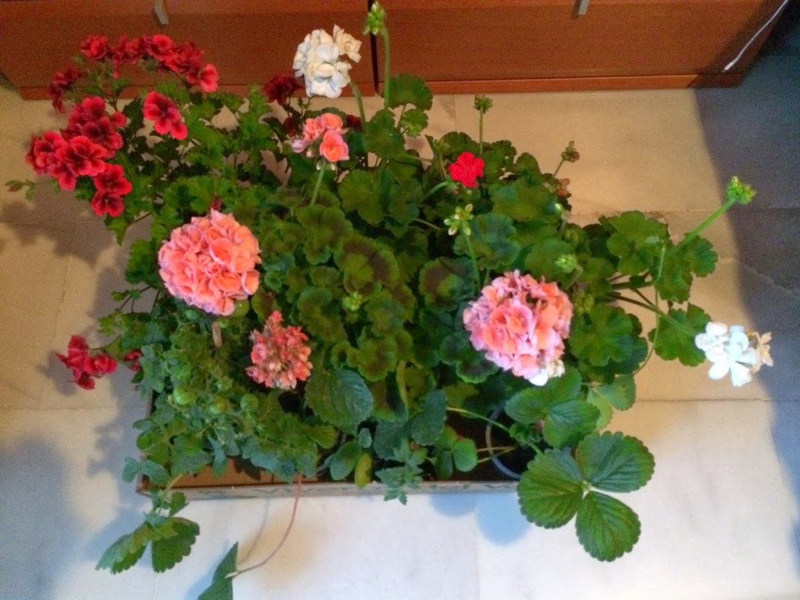 2014-05-14+21.25.01.jpg
