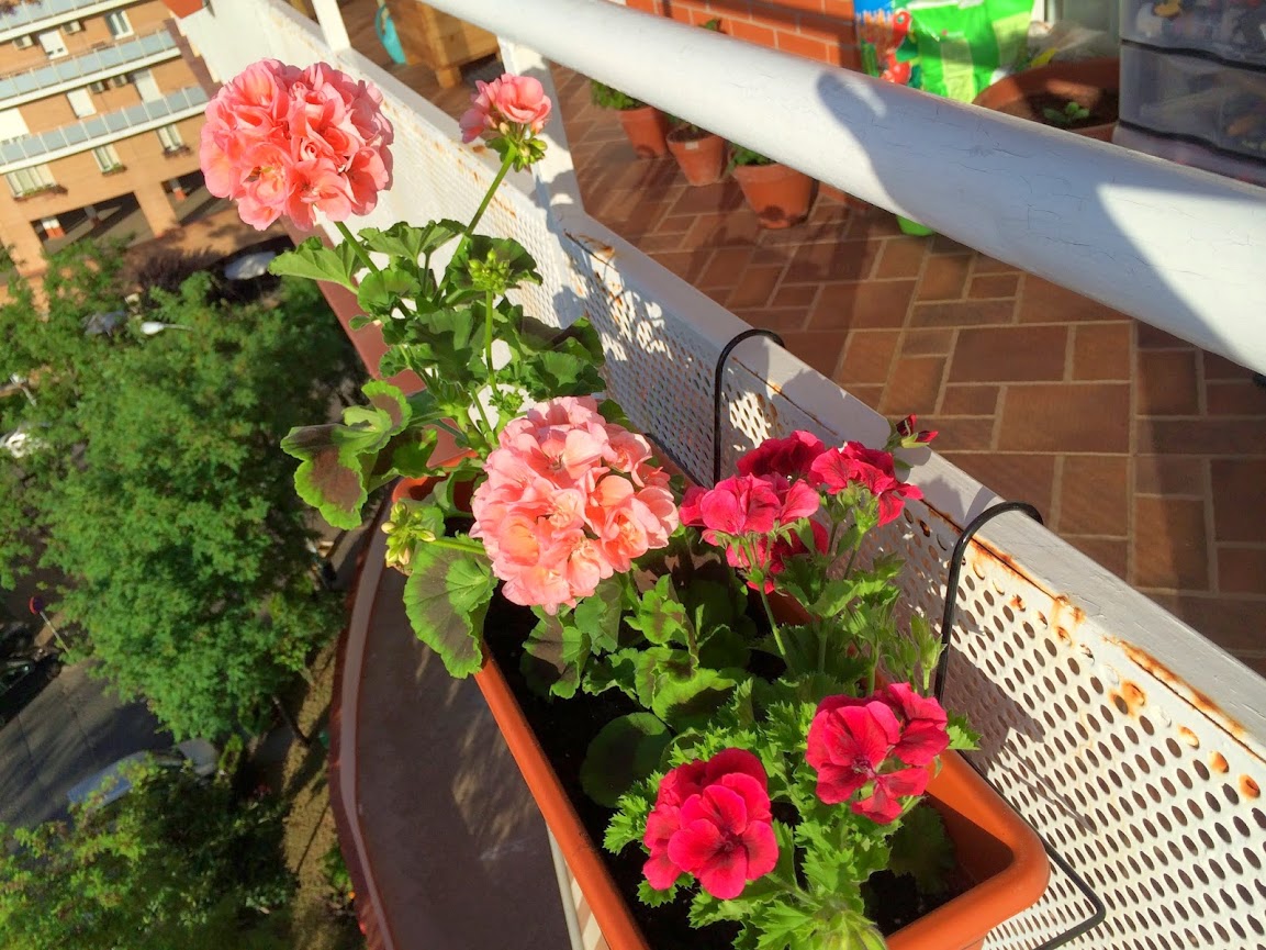 2014-05-15+08.45.16.jpg