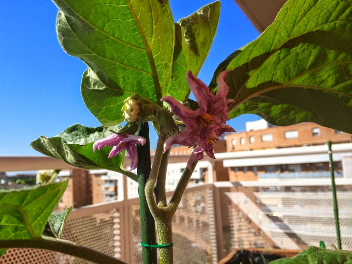 2014-05-16+10.47.34.jpg