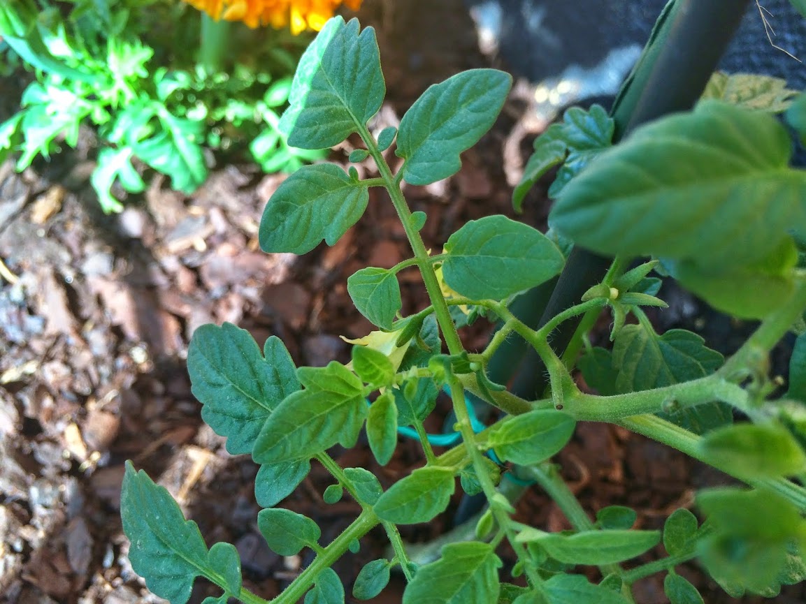2014-05-16+10.48.05.jpg