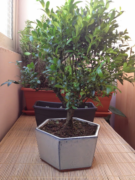 2014-05-24+20.53.45.jpg
