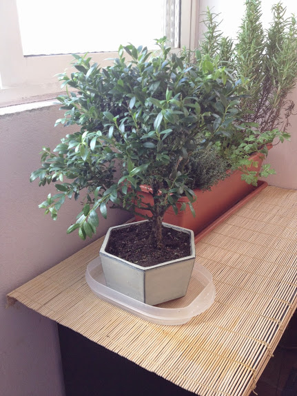 2014-05-25+18.48.47.jpg