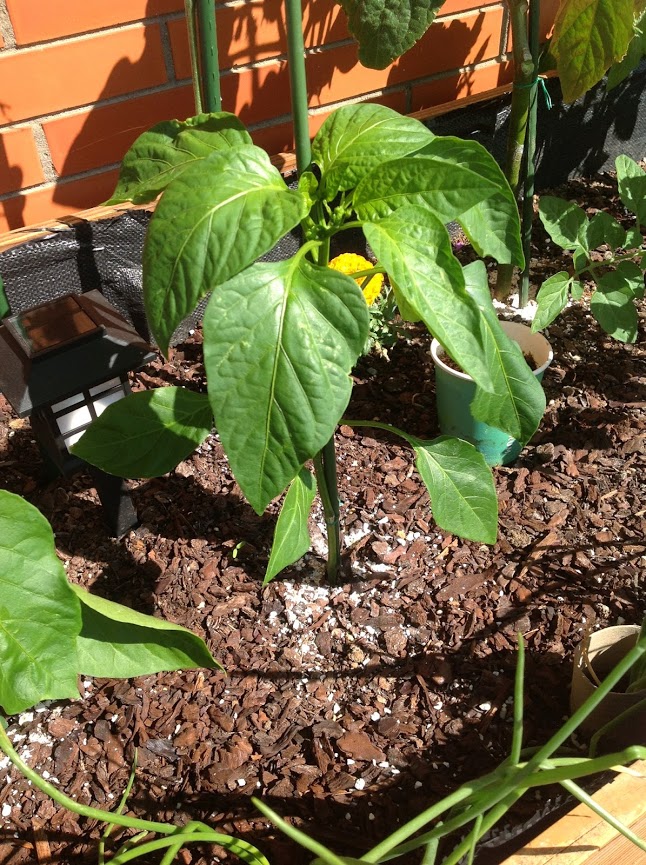 2014-06-03+11.02.43.jpg