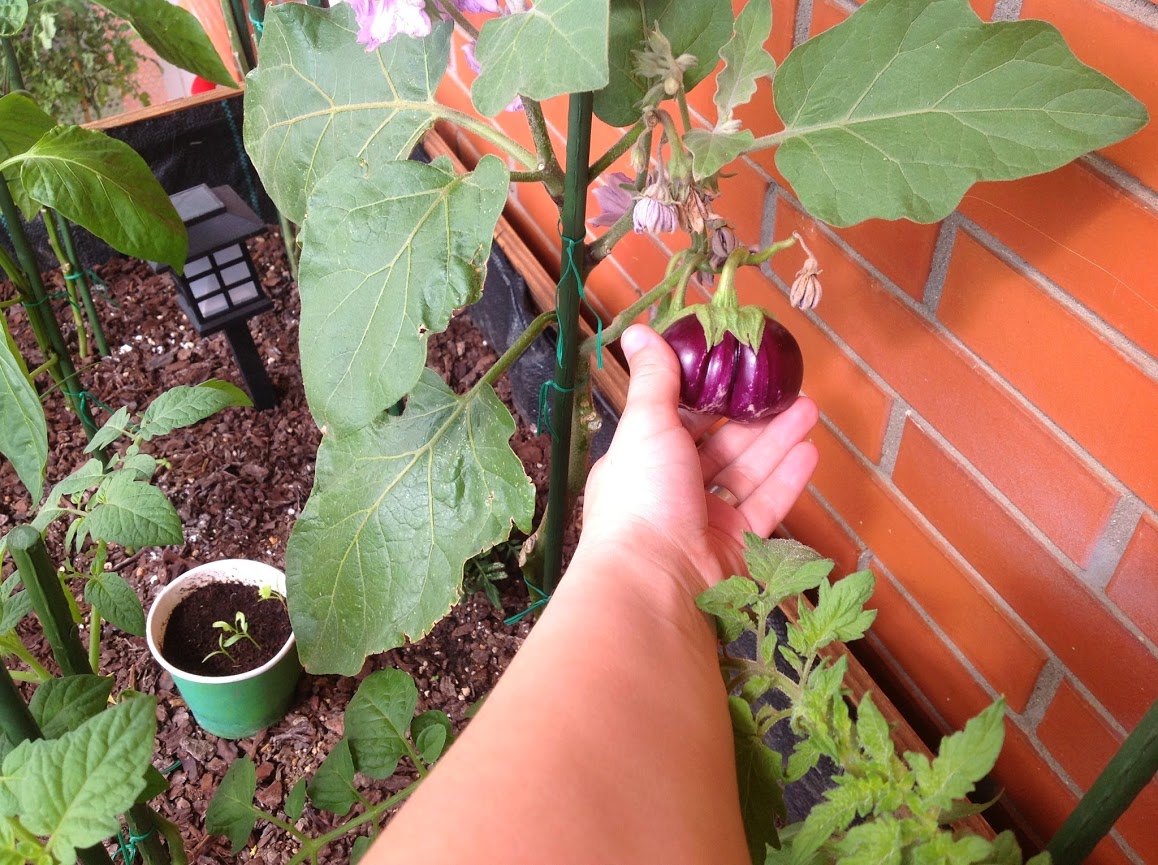 2014-06-07+11.27.34.jpg