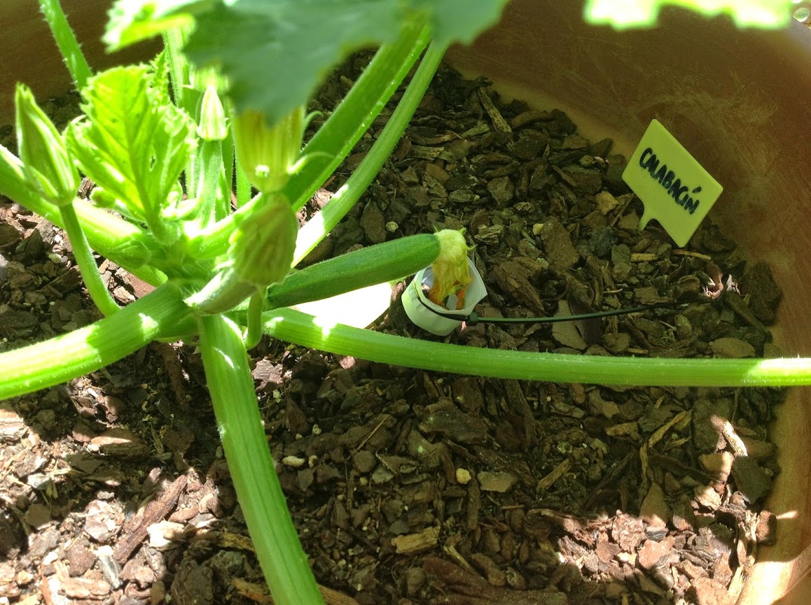 2014-06-11+14.01.42.jpg