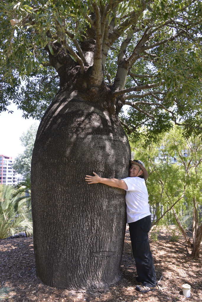 2014-10-01-03-18-46_resize.jpg