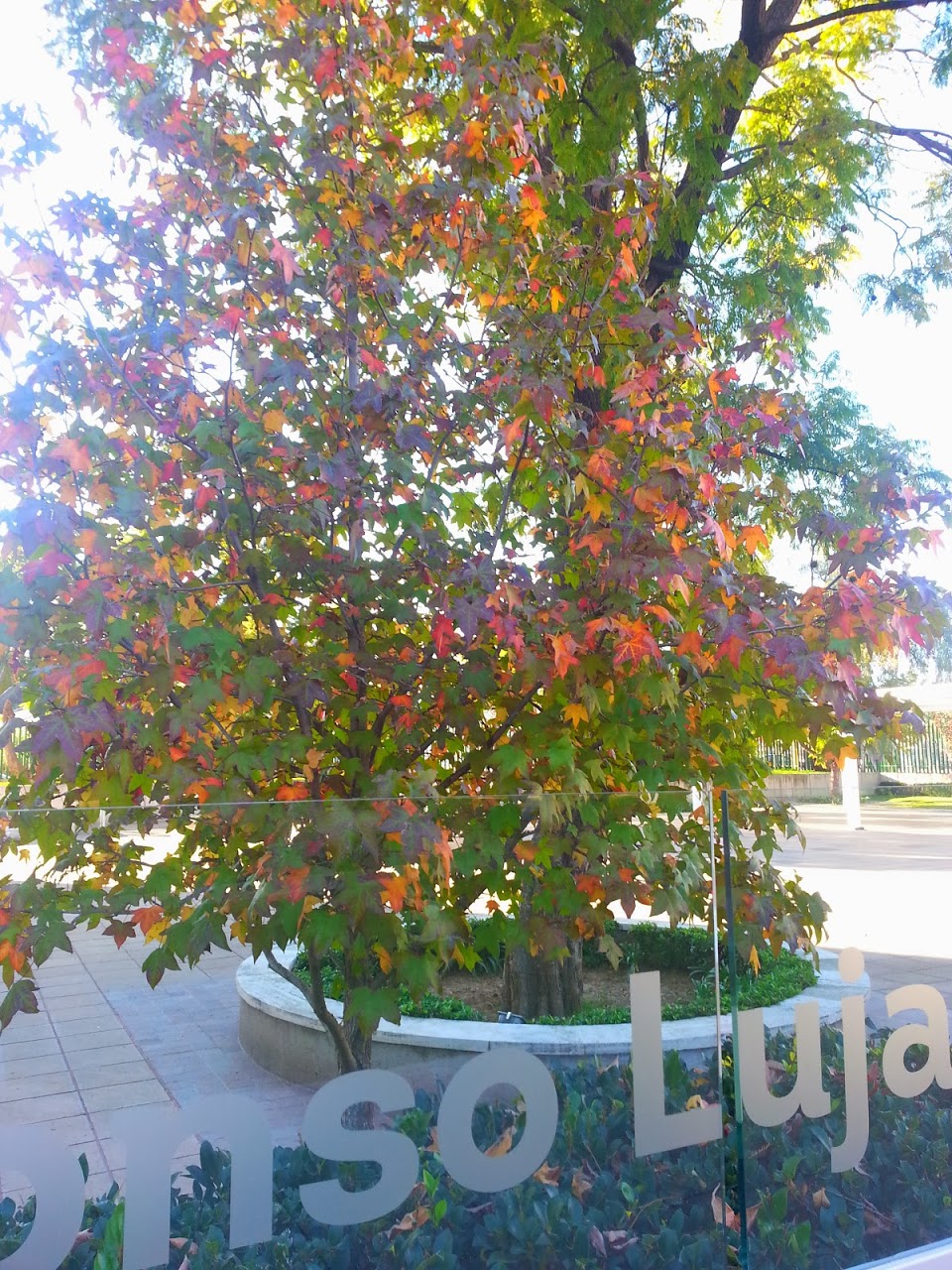 20140114_170707.jpg