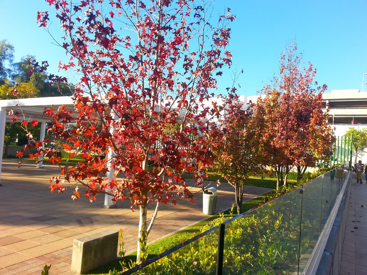 20140114_170732.jpg