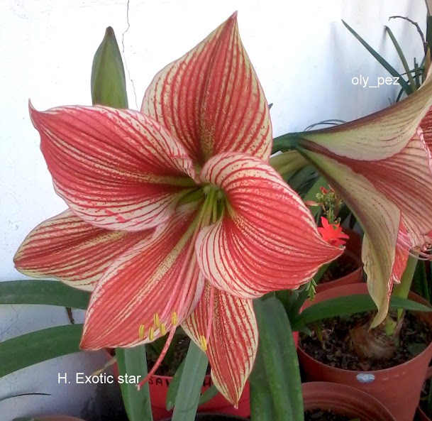 20140205_173017.jpg