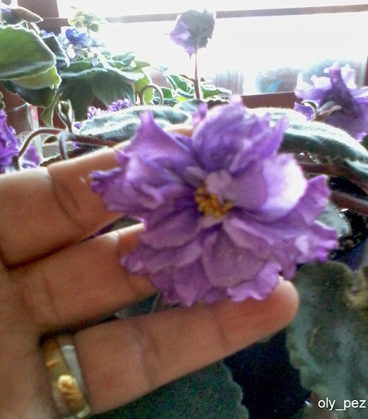 20140206_175535.jpg
