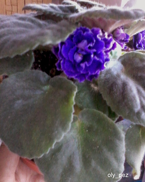 20140206_175647.jpg