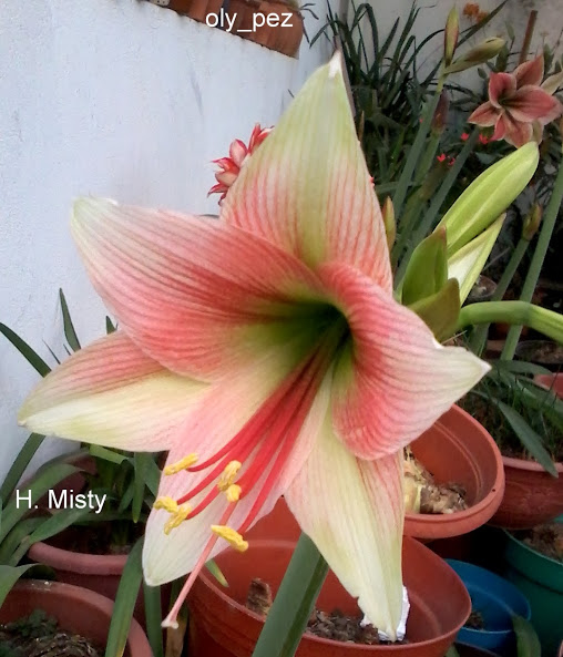20140208_182841.jpg