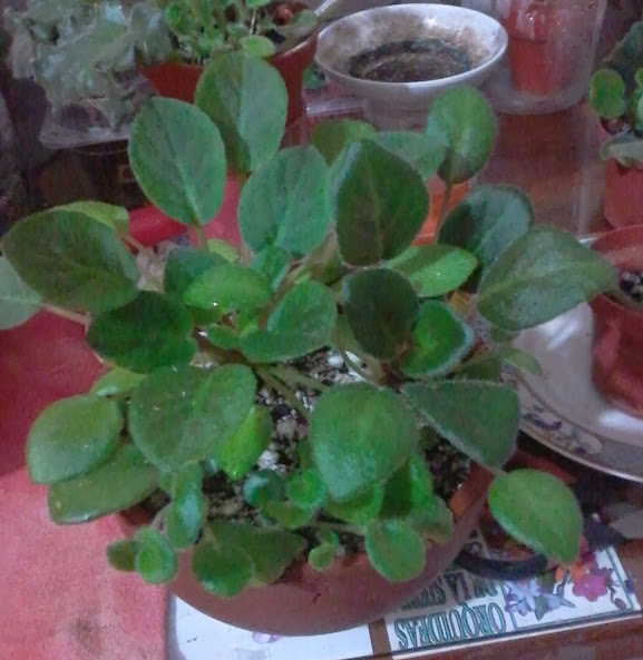 20140212_191132.jpg