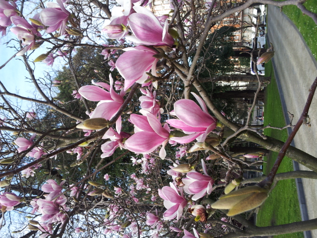 20140219_172009.jpg