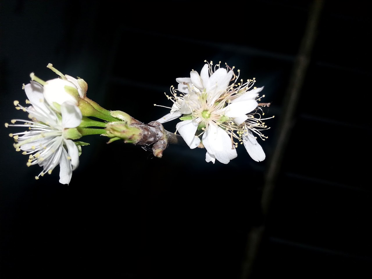 20140226_214424.jpg