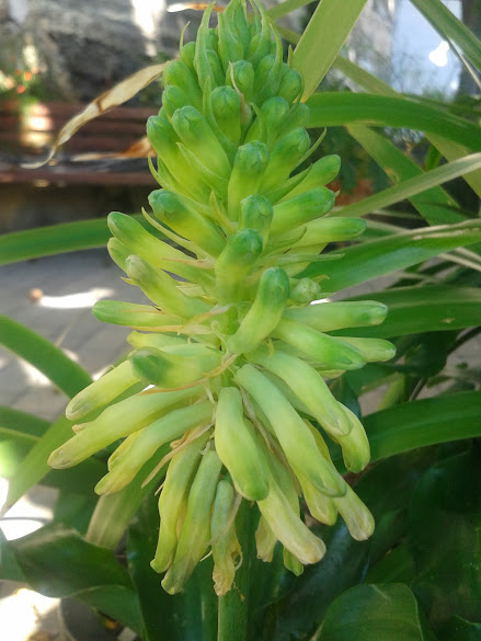 20140302_112526.jpg
